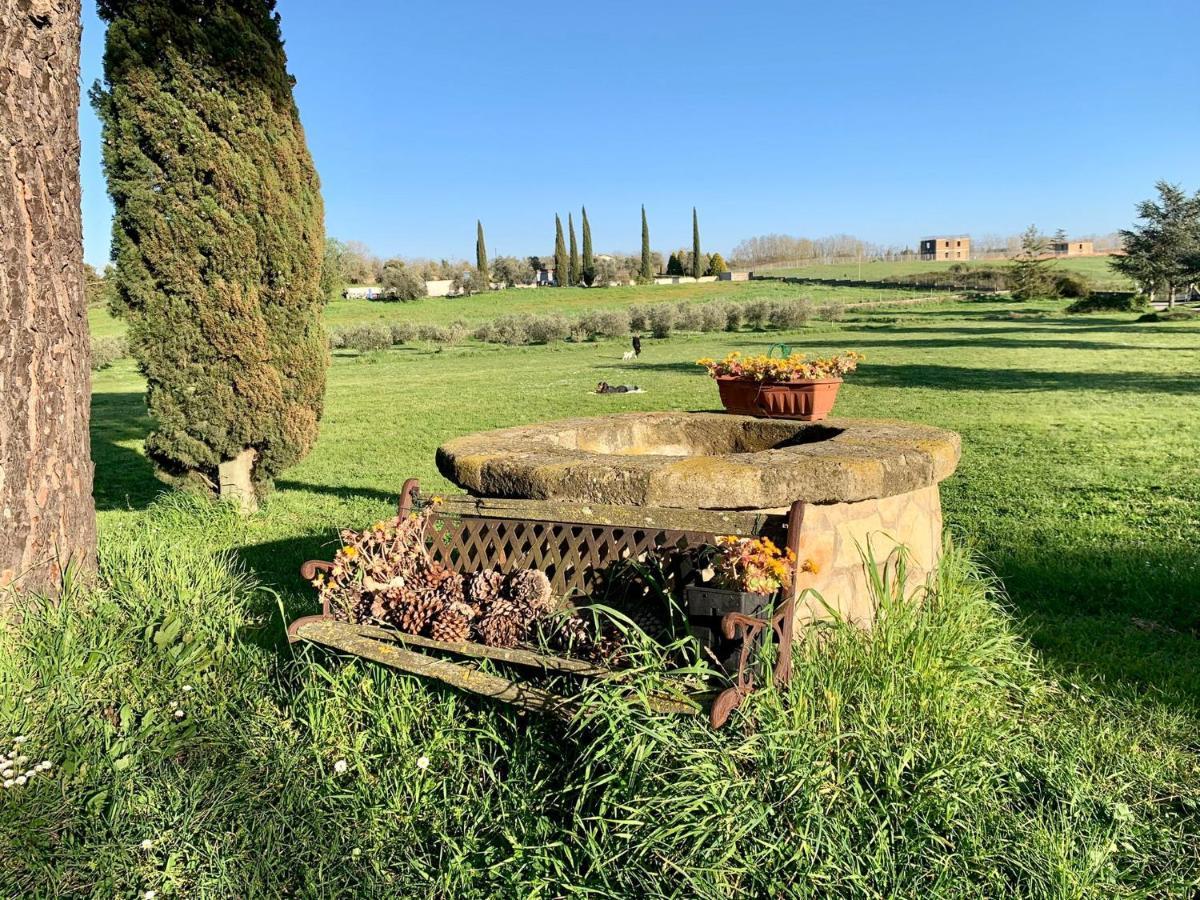 Il Casale di Gardenia Bed and Breakfast Cesano Esterno foto