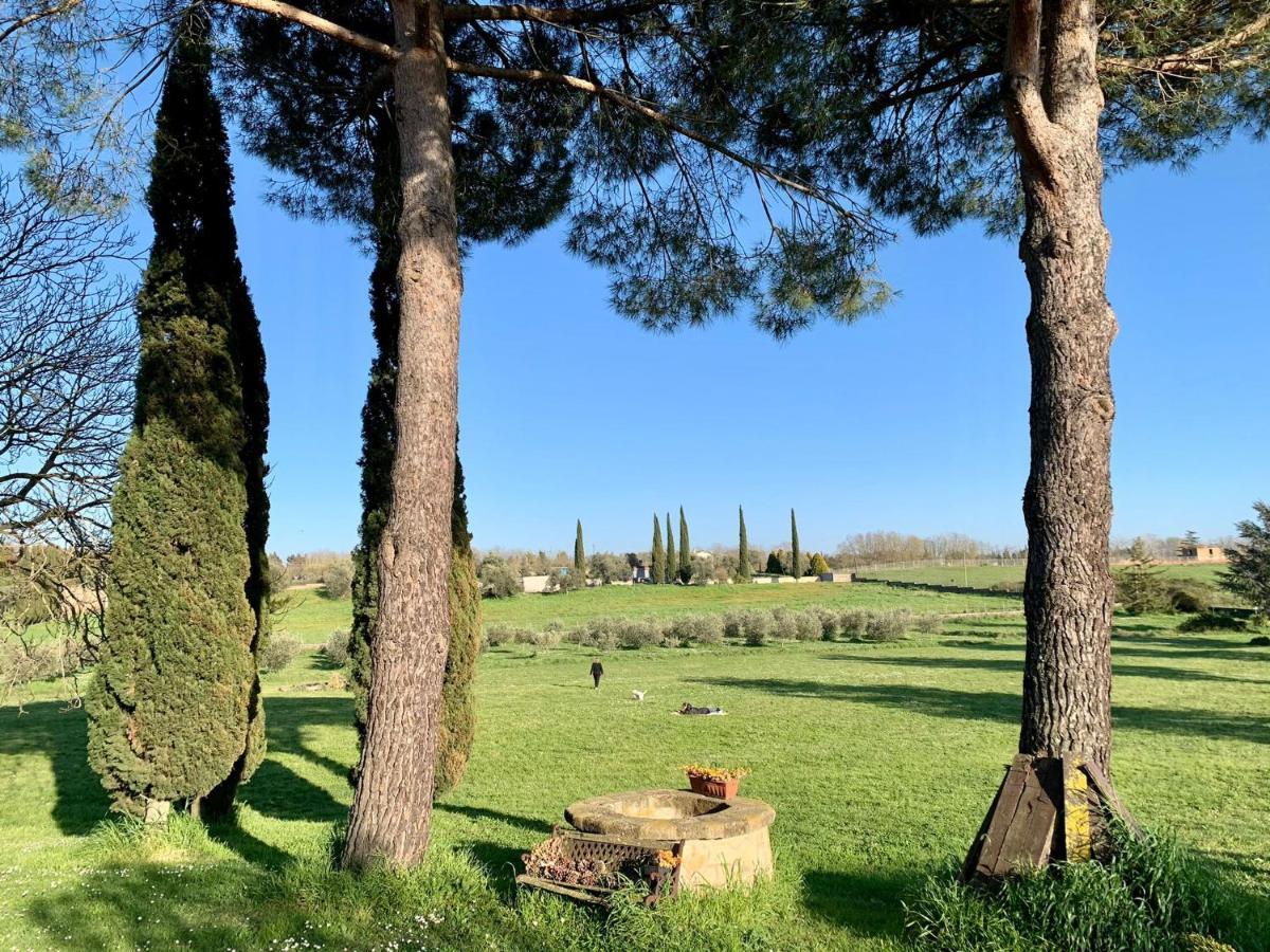 Il Casale di Gardenia Bed and Breakfast Cesano Esterno foto