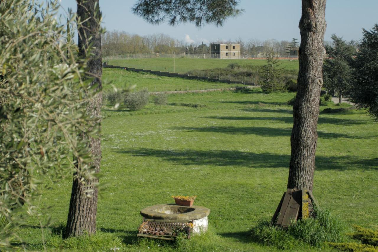 Il Casale di Gardenia Bed and Breakfast Cesano Esterno foto